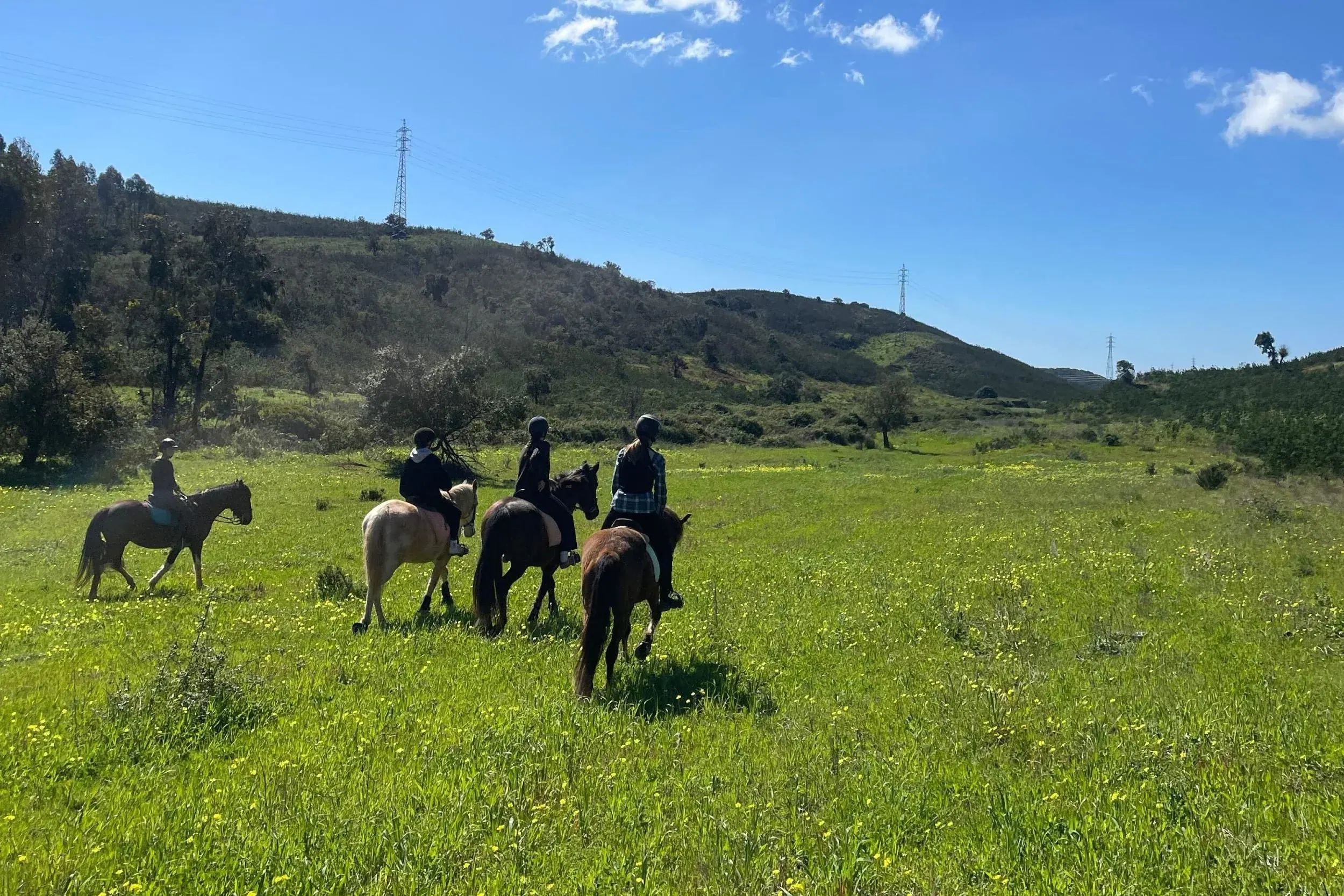 Passeio a cavalo no campo algarvio na Quinta Paraíso Alto
