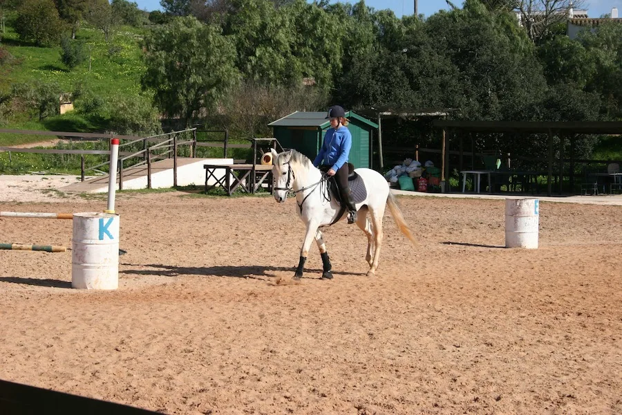Aulas de equitação na QPA