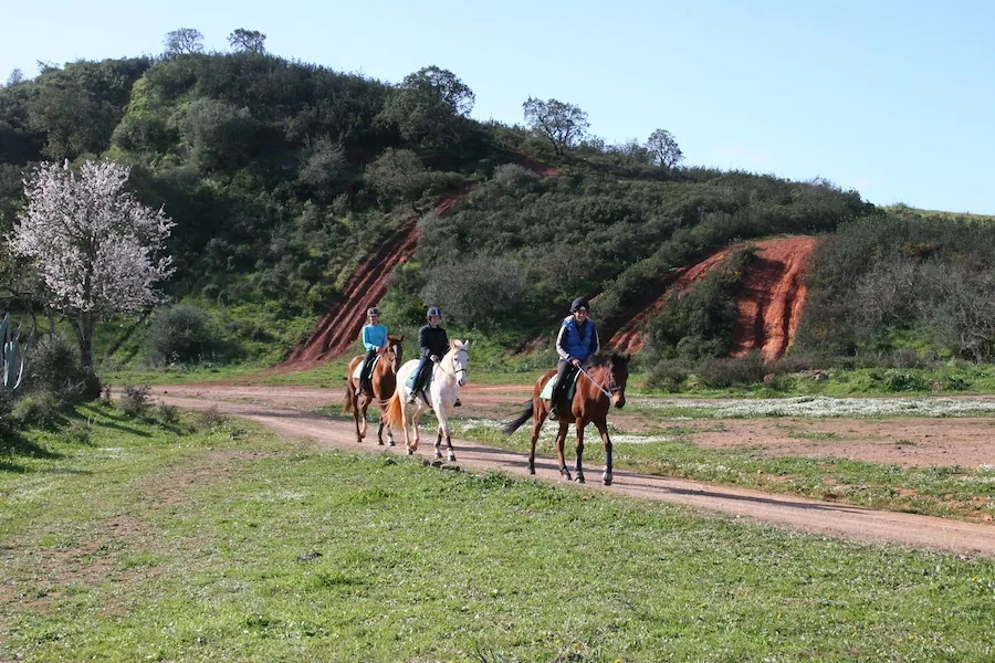 Passeio ao restaurante pelo campo algarvio
