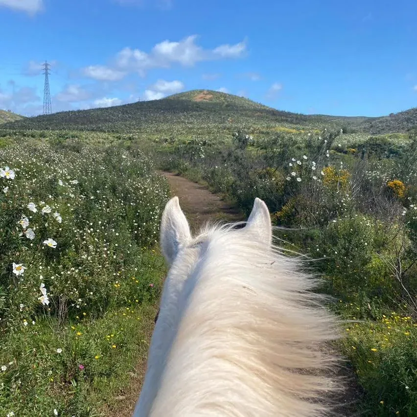 Passeio de duas horas pelas colinas do Algarve