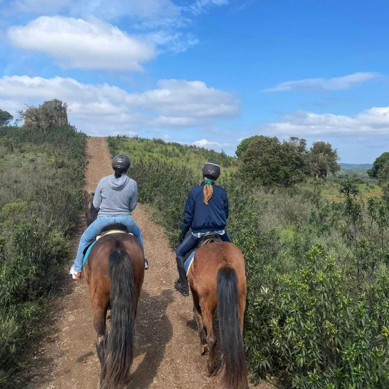 Passeio de uma hora pelo campo algarvio